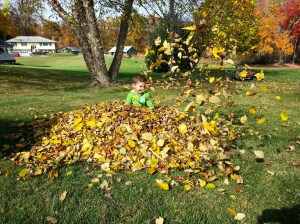 Having fun while staying safe.