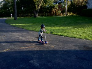 Organic pesticides are safe for you and your family.