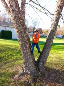 No ticks in this yard!