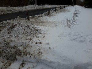 Not only is rock salt ugly to see now but later it will affect your landscape.