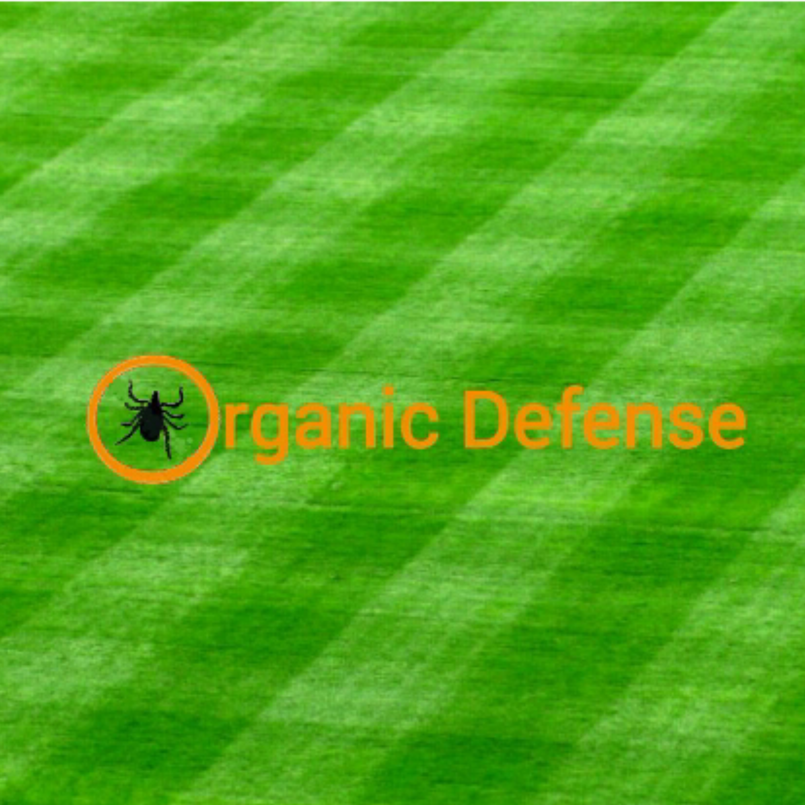 Image showcasing Lawn Treatments – Is Your Lawn Organically Defended From Ticks?