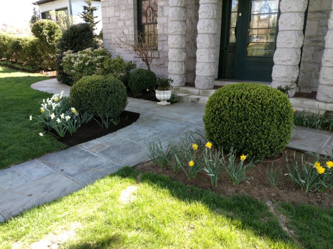 IMG_20170418_152619305